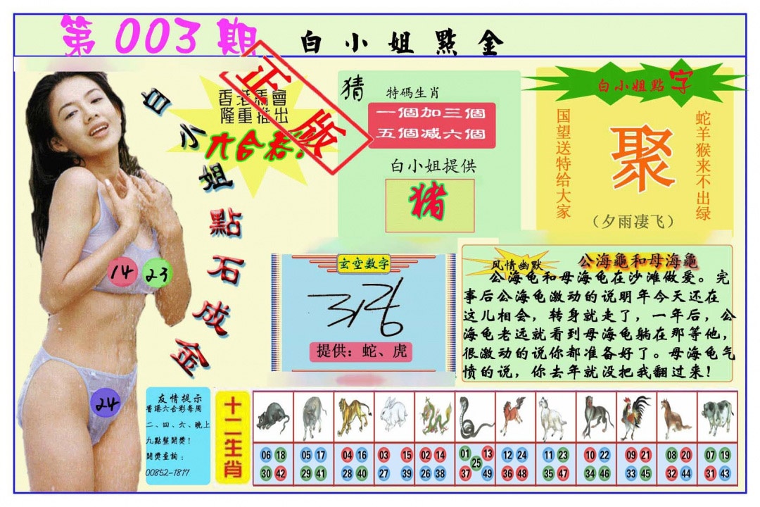 003期白小姐点金[图]