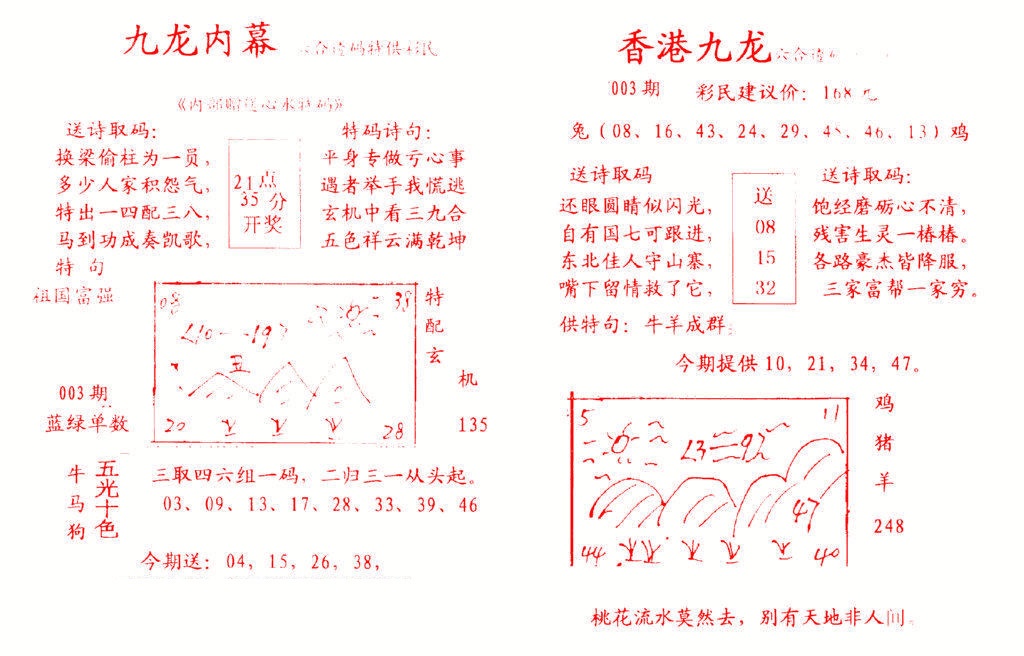 003期九龙内幕[图]