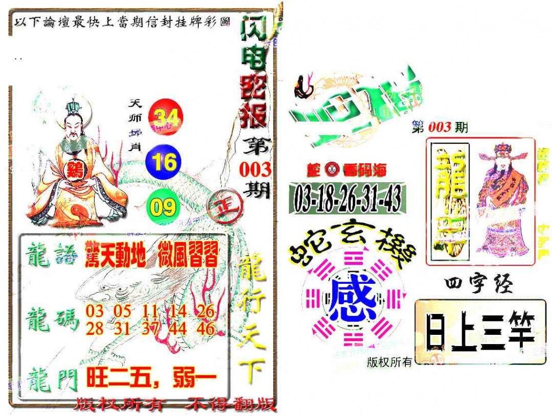003期蛇报[图]