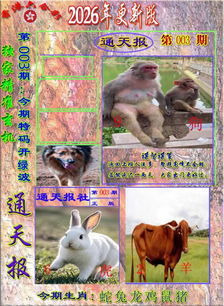 003期新通报[图]
