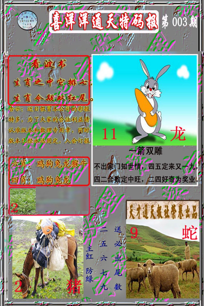 003期洋通报[图]