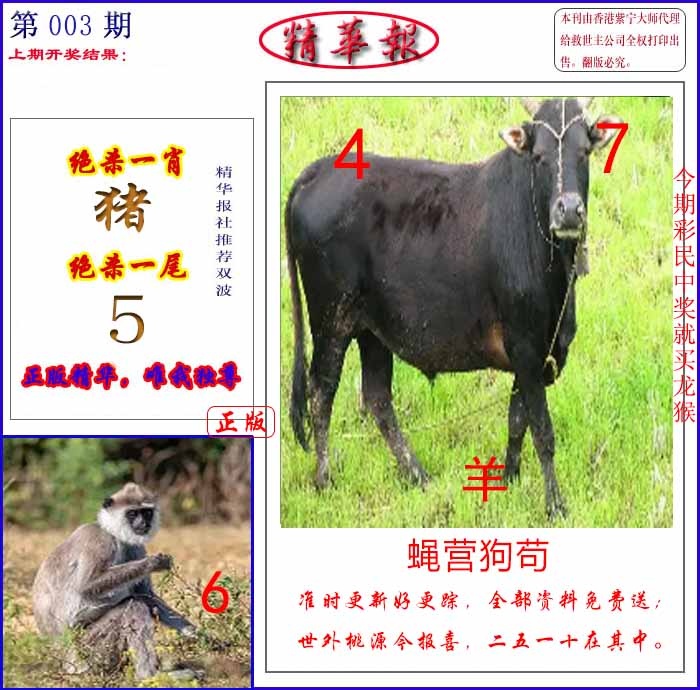 003期新精华报报[图]