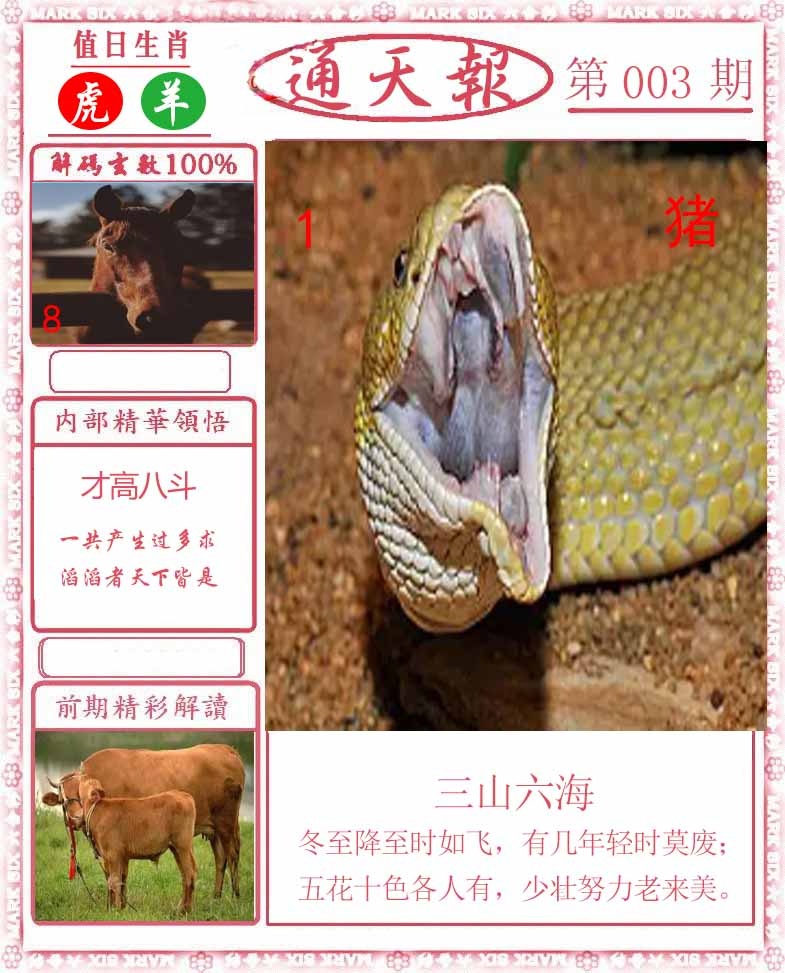 003期正版通天报[图]