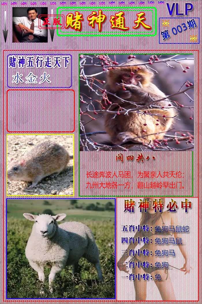 003期赌神通天报[图]
