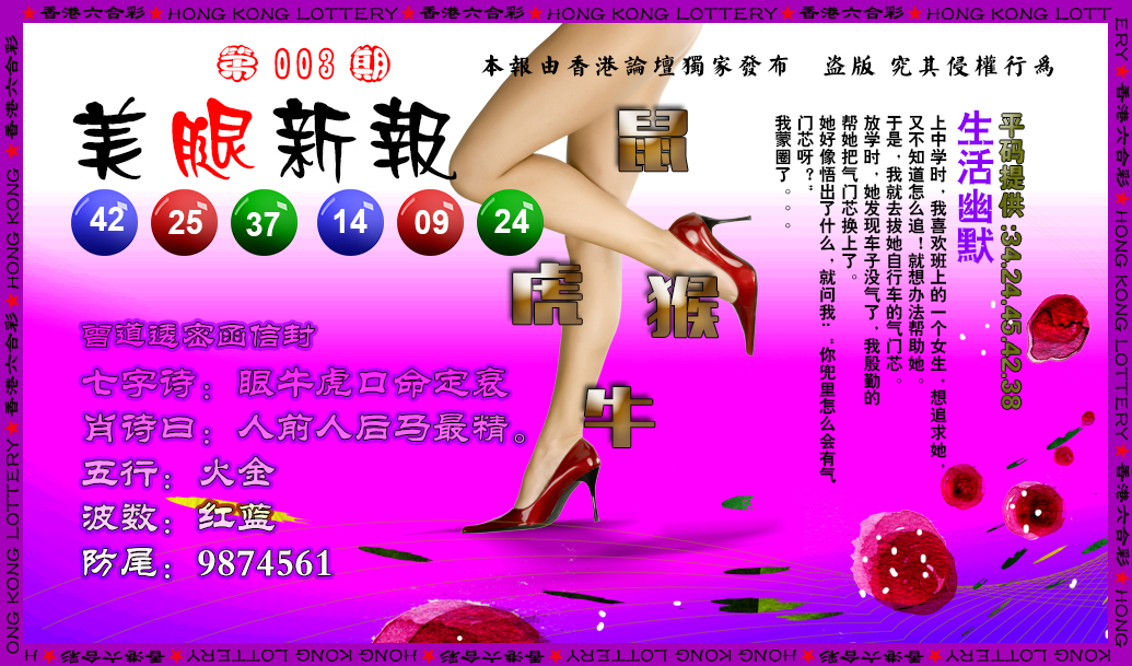 003期美腿新报[图]